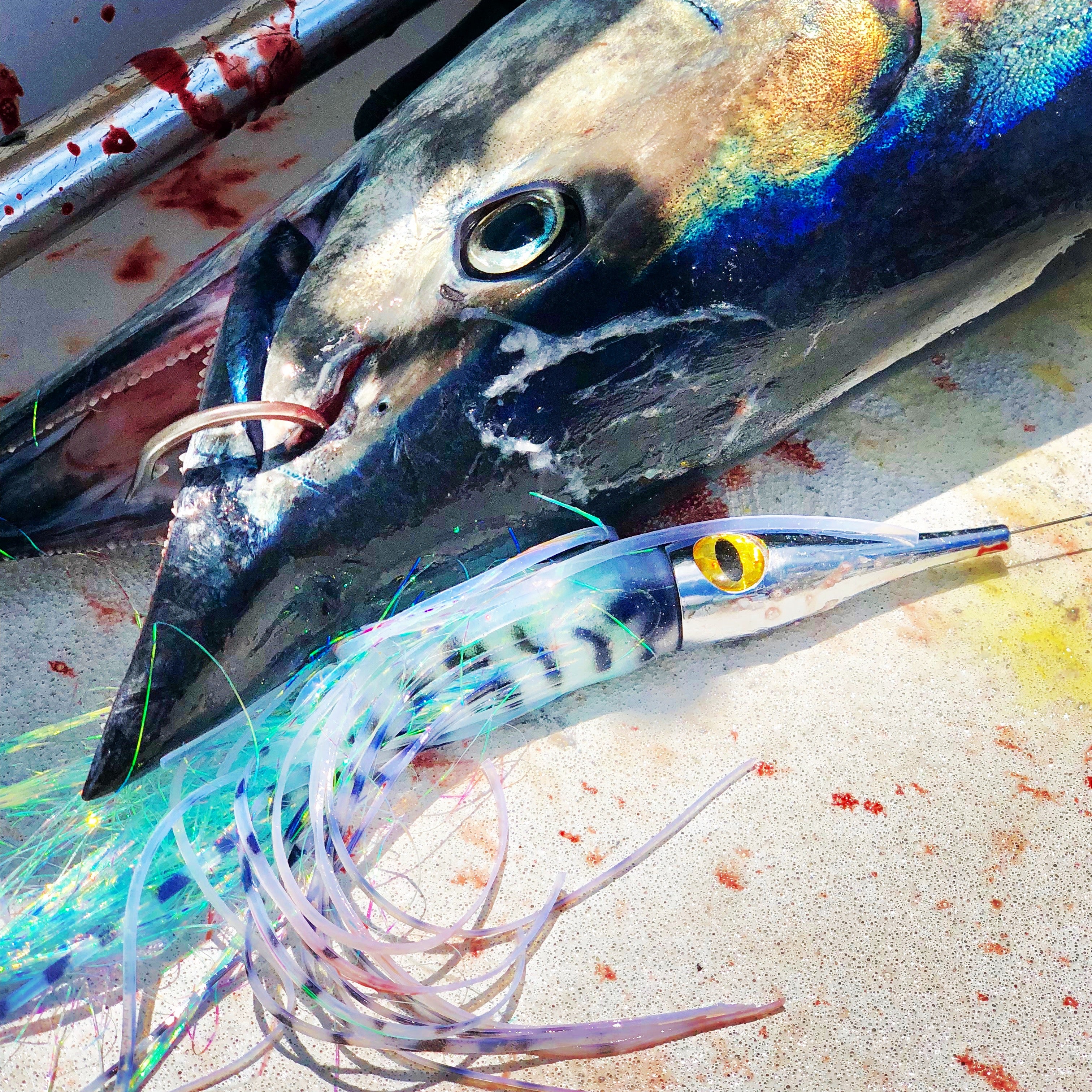 Metal Heads – Carbon Fishing