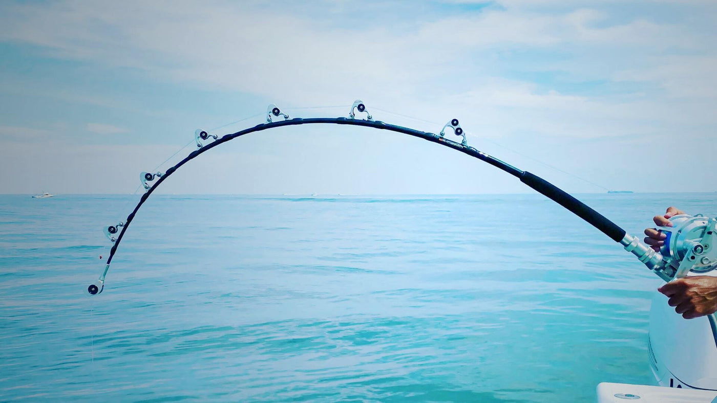 MIFINE Maximus Carbon Spinning Fuji Fishing Rod - Unique Fishing Store